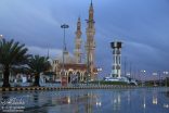 عرعر 1