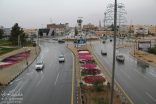 عرعر 3